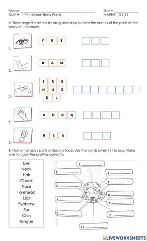 Human Body Parts