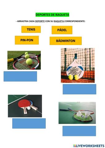 Deportes de raqueta