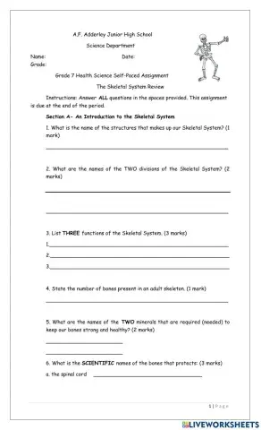 The Skeletal System Review