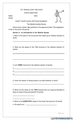 The Skeletal System Review