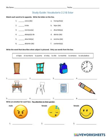 School Vocab, Emotions & Estar