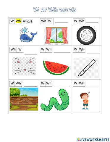 W- wh words 