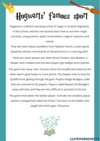 Reading Quidditch Harry Potter