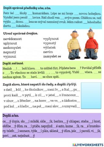 Opakování předložky, zájmena, vyjmenovaná sl., n-nn, vzory