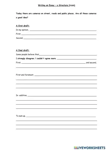 Module C Writing, Cameras on the Streets