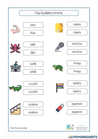 Elige la palabra correcta