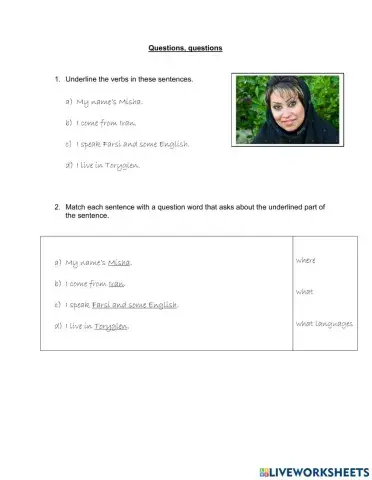 Asking basic questions