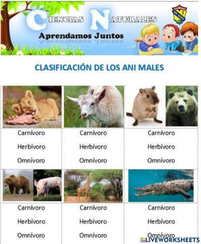 Clasificación de animales