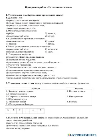 Дыхательная система