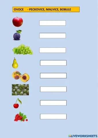 Ovoce- peckovice, malvice bobule