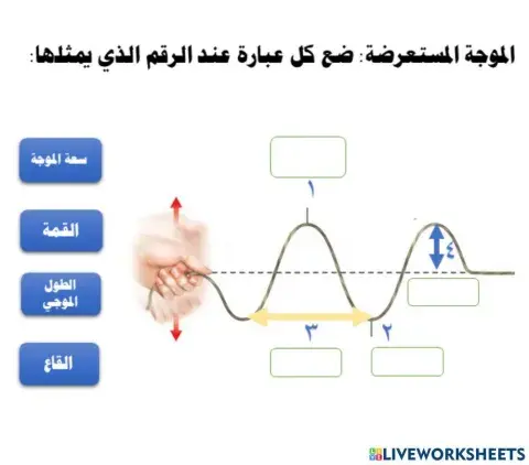 انواع الموجات