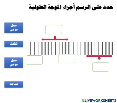 انواع الموجات