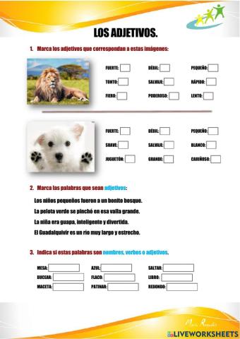 Los adjetivos