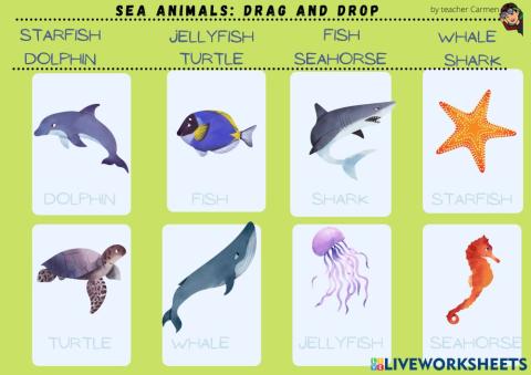 Sea animals II