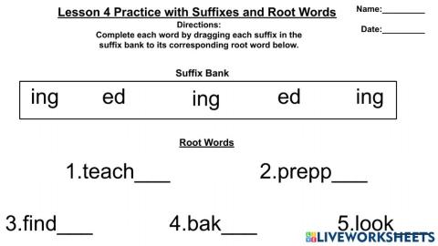 (Jane Goodall)Lesson 4 Practice with Suffixes and Root Words