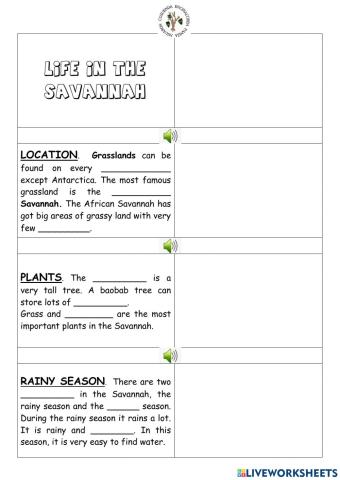 Grade 4 life in the savahhah