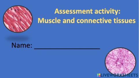 Assessment activity about tissues