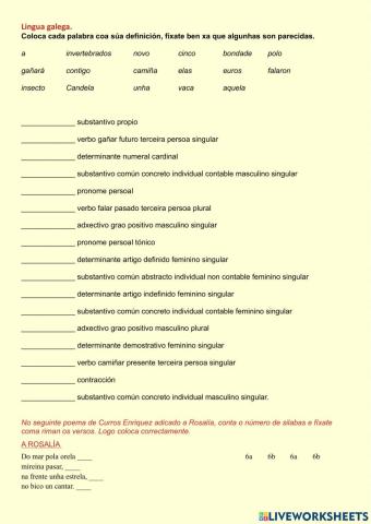 Análise morfolóxico e métrica