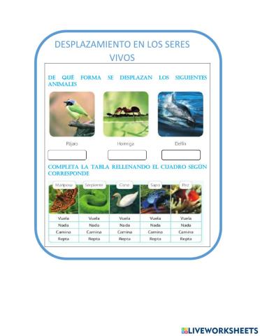 Desplazamiento de los seres vivos