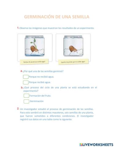 Germinacion de una semilla