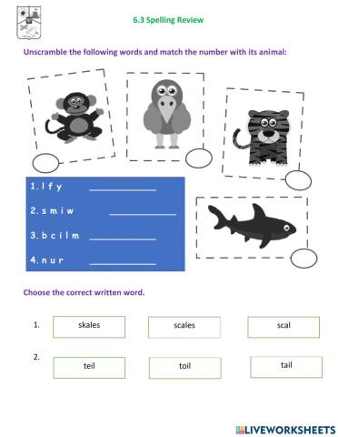 6.3 Animals Abilities