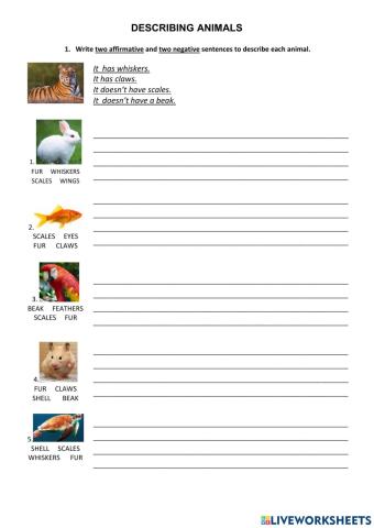 Describing animals