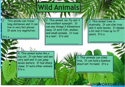 Wild Animals