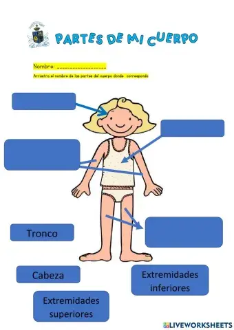 Partes del cuerpo