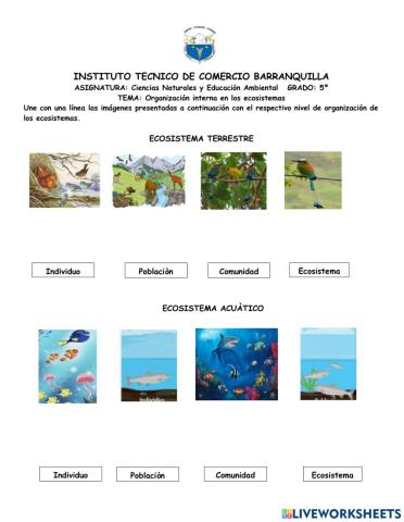 Niveles de organización de los ecosistemas