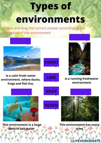 TYPES OF ENVIRONMENT