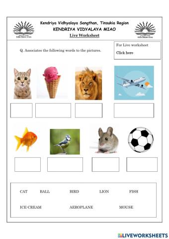 Associate words with pictures