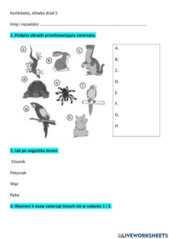 Kartkówka, słówka dział 5