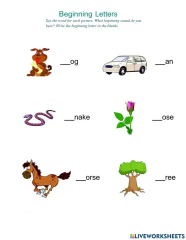 Phonic Worksheet