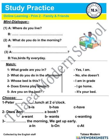 Family - Friends  - Prim 2 - Study Practice