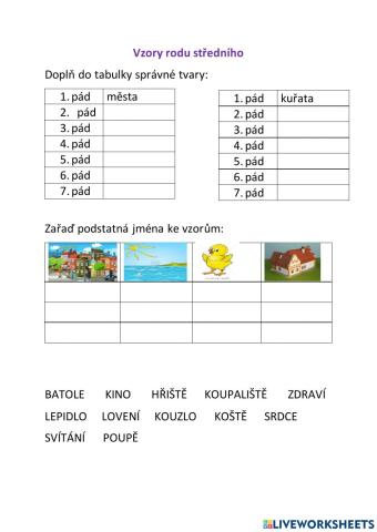 Vzory rodu středního