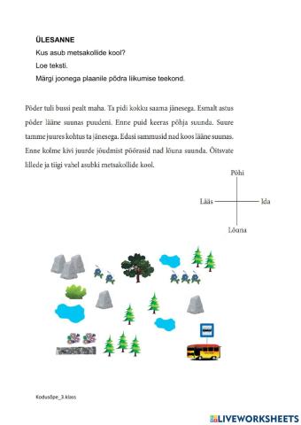 Funktsionaalne lugemisülesanne 3.klass