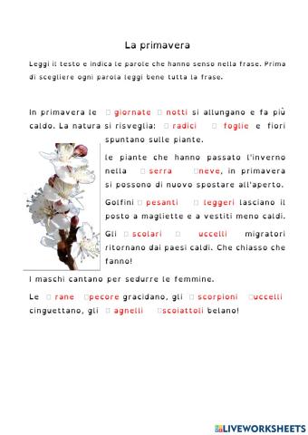Il risveglio della primavera