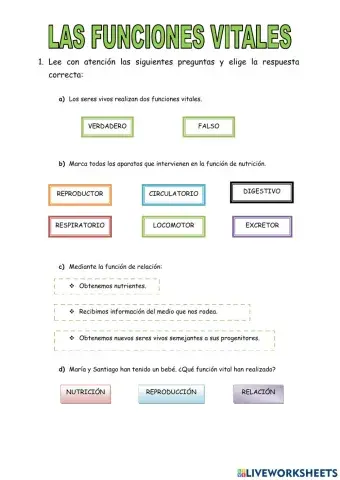 Las funciones vitales
