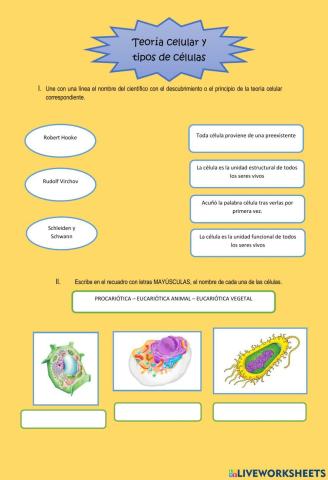 Teoría celular y tipos de células