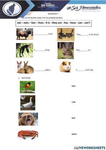 Review animals