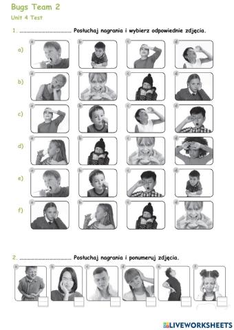 Bugs Team 2 Unit 4 Test