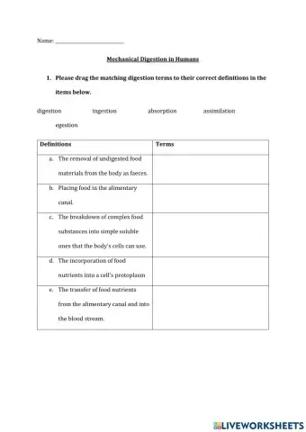 Mechanical Digestion