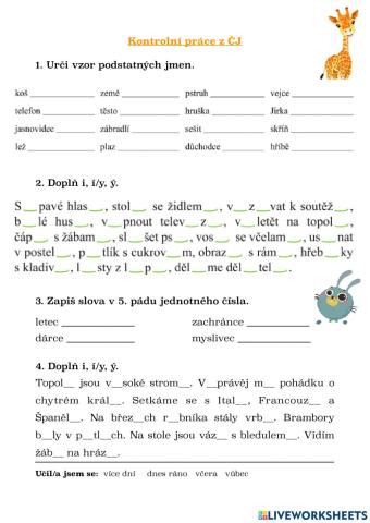 Kontrolní práce - vzory PJ