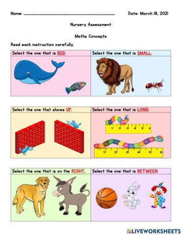 Nursery Assessment- Maths Concepts