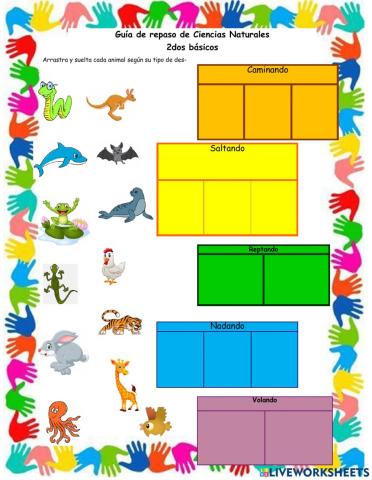 Algunas características de los animales