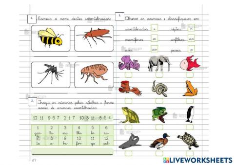 Animais Vertebrados e Invertebrados