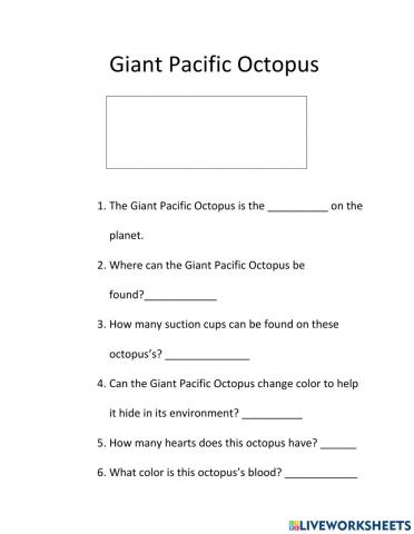 Giant Pacific Octopus