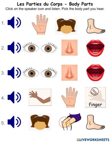 Les Parties du Corps-K