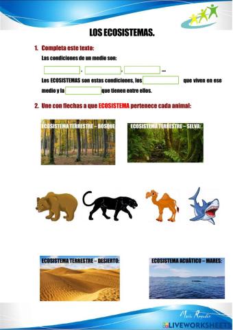 Los ecosistemas
