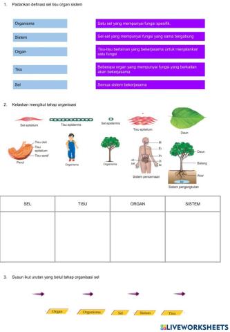 2.1.6 Mengkonsepsikan pembentukan tumbuhan dan haiwan mengikut urutan tahap organisasi